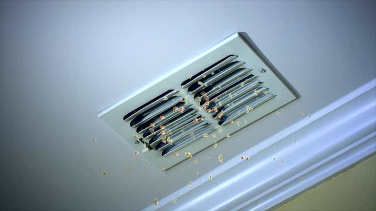 Best Affordable Air Duct Cleaning  in Daingerfield, TX