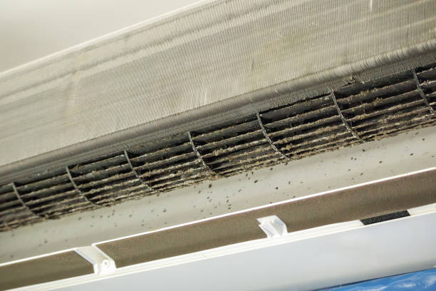 Air Duct Mold Removal in Daingerfield, TX